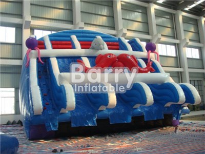 Kids Inflatable Water Slide Pool , Seaworld Inflatable Water Slide For Pool BY-WS-075